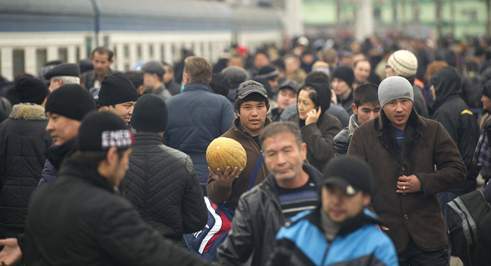 СФ ввел ответственность за несоблюдение мигрантами цели въезда в Россию 